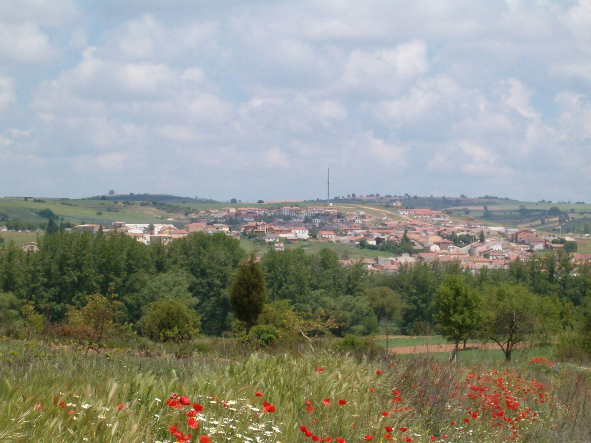 Fotografía de la galería de imágenes con id: 960