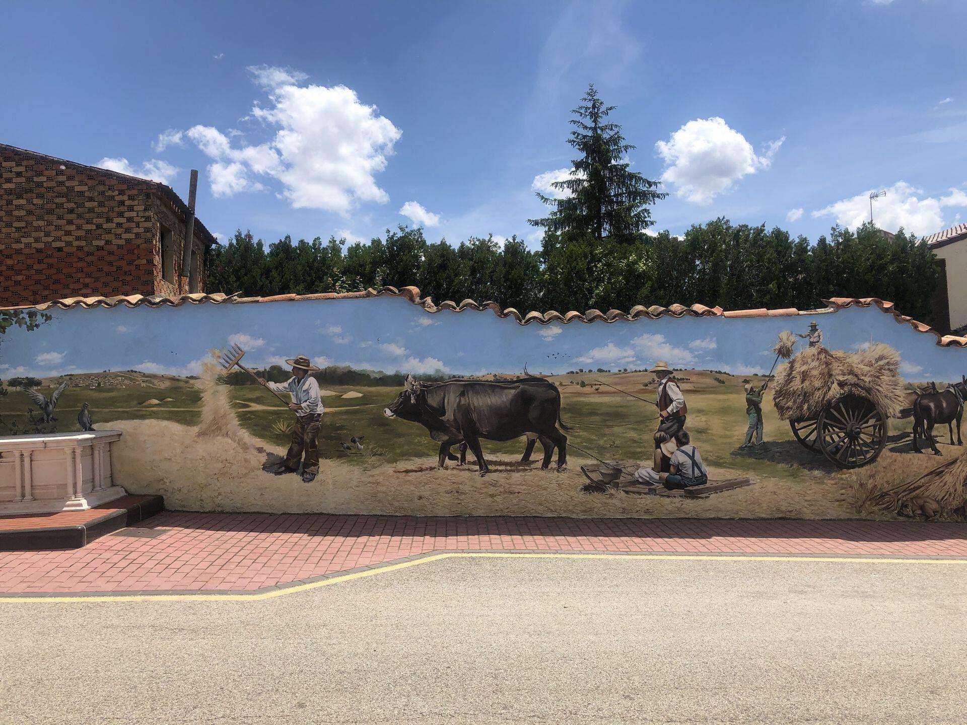 Fotografía de la galería de imágenes con id: 966