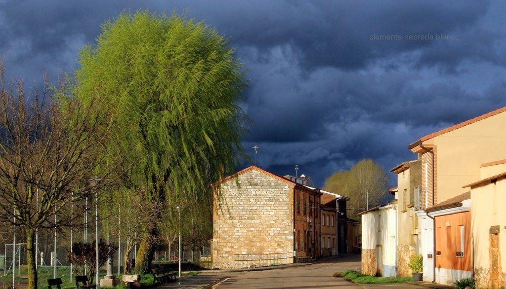 Fotografía de la galería de imágenes con id: 849